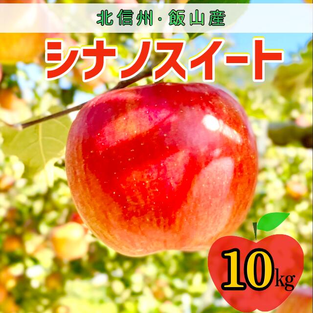【ふるさと納税】＜先行予約＞シナノスイート【約10kg(24〜36玉)】 ＜出荷開始：2025年10月中旬～下旬頃＞(7-A24-3)【 りんご フルーツ 長野県 飯山市 ギフト プレゼント 記念日 誕生日 父の日 母の日 敬老の日 記念品 シナノスイート 景品 賞品 粗品 お香典返し】