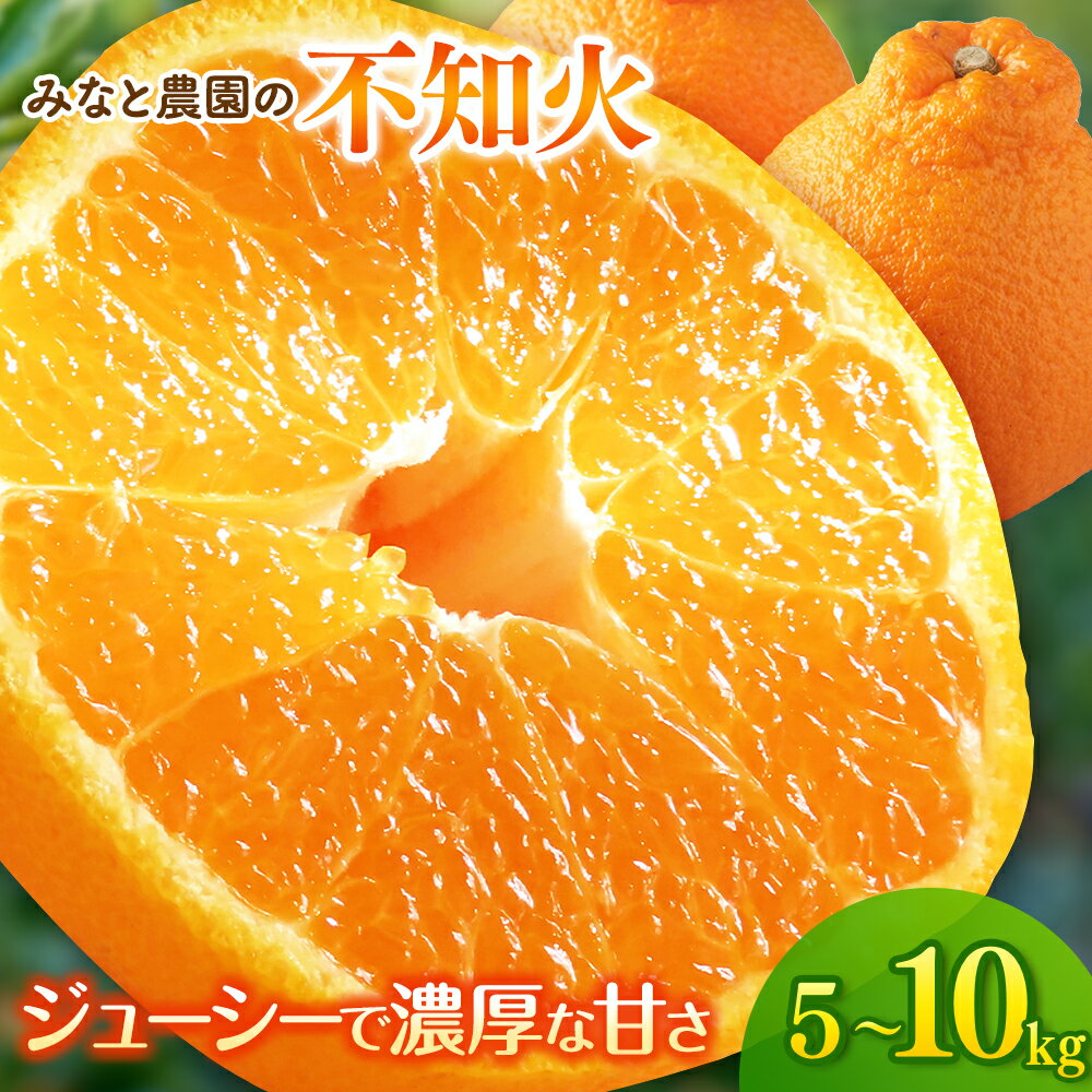 【ふるさと納税】 【2027年発送予約】【数量限定】みなと農園の 不知火 5kg 10kg 選べる容量 みかん ミカン mikan 蜜柑 不知火 しらぬい 柑橘 フルーツ 果物 くだもの 甘い 旬 人気 産地直送 三重県 熊野市 送料無料【2027年2月下旬頃〜順次発送】