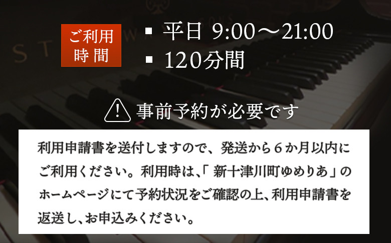 スタインウェイピアノ試弾券（120分）　※平日限定（午前９時～午後９時）