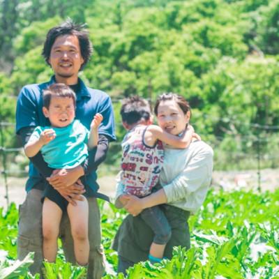 ふるさと納税 能勢町 【大阪能勢特産】旬野菜のタルタルミックスピクルス4本セット |  | 02
