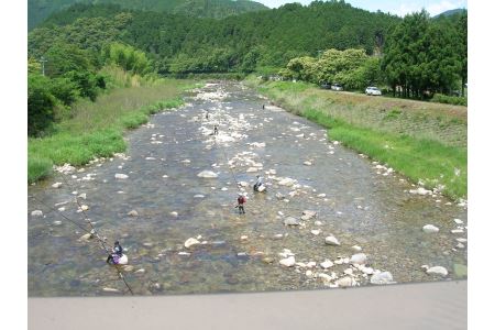 大又川アユ友釣り 一日券鑑札 引換券