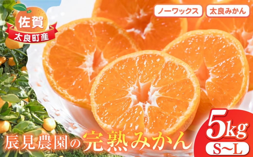 
                  L90x1 辰見農園の完熟みかん　５ｋｇ　みかん ミカン 蜜柑 温州みかん 完熟みかん 甘熟 柑橘 有機栽培 国産 こだわり ノーワックス 贈答品 産地直送 詰め合わせ 佐賀県産 太良町 【2026年10月下旬-2027年3月下旬発送予定】
                