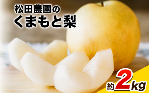 【先行予約】秋 旬 梨 期間限定 【日付指定不可】梨 『松田農園』の くまもと 梨 たっぷり 約2kg 5-7玉前後《7月下旬-9月末頃出荷》  予約 受付中 熊本県玉名郡玉東町『松田農園』なし 果物 スイーツ フルーツ デザート スムージー SDG`s