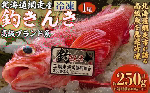 
            【先行予約】【網走産】高級ブランド釣きんき 1尾【冷凍】（2025年5月15日より順次発送） 【 ふるさと納税 人気 おすすめ ランキング きんき 釣きんき キンキ 高級魚 冷凍 直送 ブランド魚 魚介 オホーツク 北海道 網走市 送料無料 】 ABJ013
          