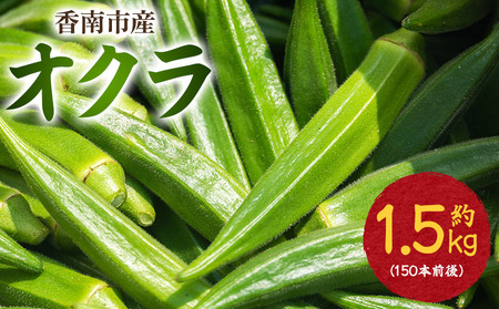 オクラ1.5kg(150本前後) 【オクラ オクラ オクラ オクラ オクラ おくら おくら】 on-0029