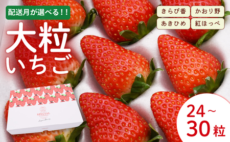 いちご  2026年3月から5月発送 3ヶ月 定期便 大粒 24～30粒 あきひめ 紅ほっぺ かおりの きらぴ香 いちご