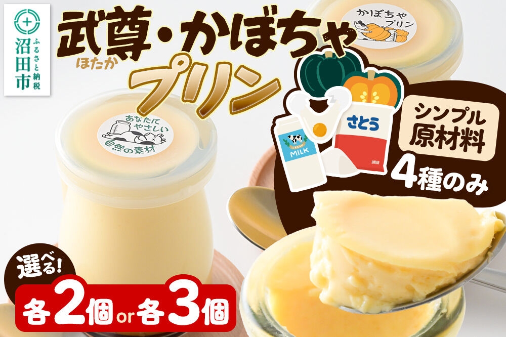 
                  武尊(ほたか)プリン、かぼちゃプリンセット【選べる個数 各2個／各3個】菓子工房 ミセス・マサコ [シンプル原材料 保存料など無添加 洋菓子 生菓子 ぷりん]
                