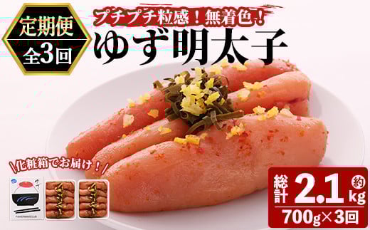 ＜定期便・全3回(連続)＞プチプチ粒感！無着色 ゆず明太子10本入り (総量2.1kg・700g×3回)国産 福岡県産 明太子 魚介 海鮮 魚卵 柚子 ゆず＜離島配送不可＞【ksg1411】【フィッシャーマンズクラブ】