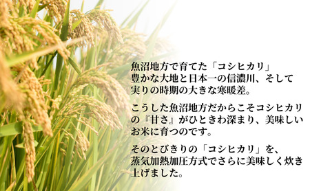 【パックご飯】魚沼産こしひかり パックご飯12個 