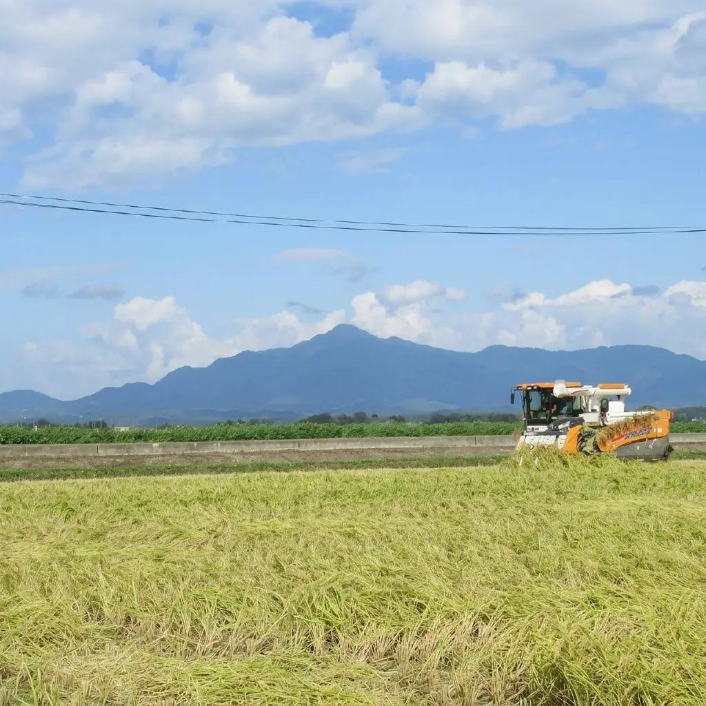 みずほの輝き 上越 無洗米 みずほの輝き 10kg(5kg×2)