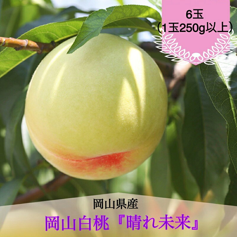 【ふるさと納税】桃 2027年 先行予約 白桃 6玉（1玉250g以上）化粧箱入り もも モモ 岡山県産 国産 フルーツ 果物 ギフト 早生　お届け：2027年6月下旬～2027年7月上旬