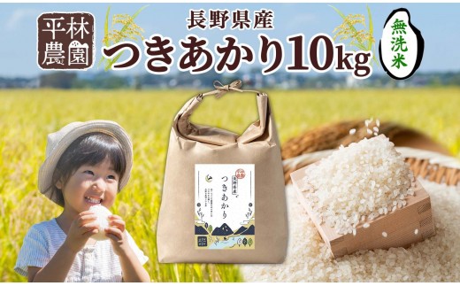 【2025年12月～順次発送】令和7年産 つきあかり 無洗米 10kg×1袋 長野県産 米 精米 お米 ごはん ライス 甘み 農家直送 産直 信州 人気 ギフト お取り寄せ 平林農園 送料無料 長野県 大町市