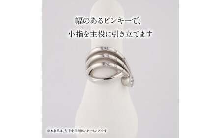 Pt ダイヤモンド ジュエリー ピンキー リング プラチナ HARA RING シリーズ 宝石 宝飾品 指輪 karati セスタディカラッチジャパン カラッチ ジャパン KARATI 沼津市 国内 