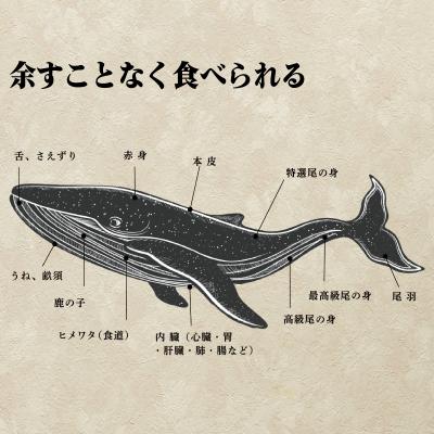 ふるさと納税 下関市 鯨 ( くじら ) 赤身 ブロック 500g 冷凍 下関 FG043 |  | 01