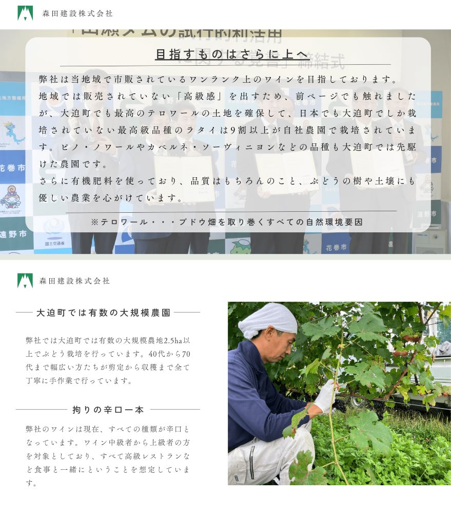 【早池峰の恵み】モリタワイン　ピノ・ノワール2016　ダム貯蔵 【2433】_イメージ4