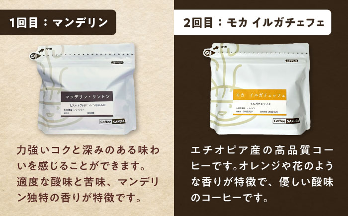 【全6回定期便】世界のコーヒー豆 満足便(粉) / 珈琲 コーヒー / 瀬戸市 / Ｃｏｆｆｅｅ　ＳＡＫＵＲＡ [BBAB153] 粉