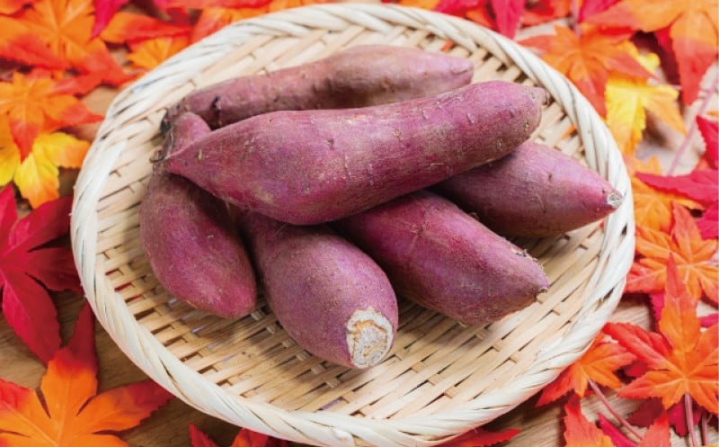 
            訳あり さつまいも 紅はるか 10kg 訳アリ 訳有 サツマイモ 薩摩芋 さつま芋 デザート べにはるか スイーツ 甘芋 スイートポテト sweet potato 蜜 蜜芋 芋 イモ 旬 秋野菜 秋の味覚 おやつ 食物繊維 数量限定 農家直送 産地直送 神奈川 湘南 藤沢 フロムベジ湘南
          