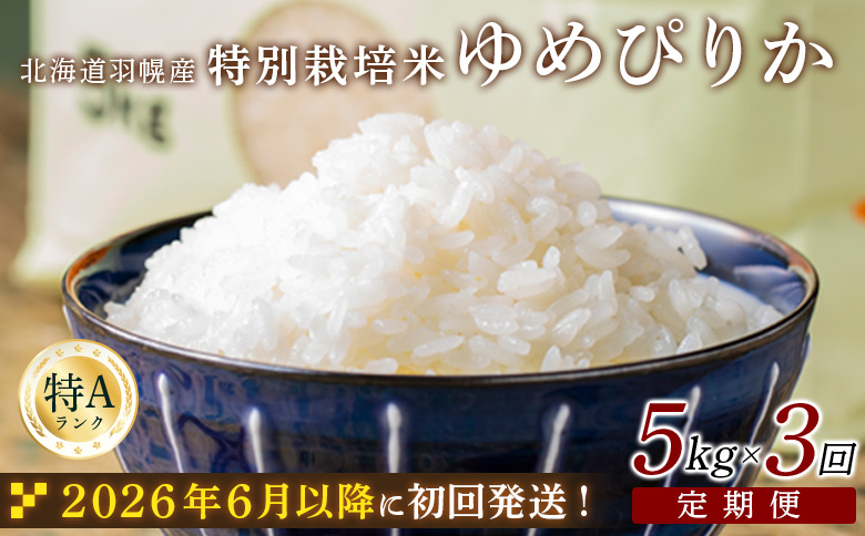 【2025年産】 【定期便：3回】 北海道羽幌産 特別栽培米 ゆめぴりか5kg ｜ 5キロ 計15kg 計15キロ 米 定期 3回 安心 安全 北海道米 ワンストップ オンライン申請 ふるさと納税 北海道 羽幌町 羽幌【0812502】