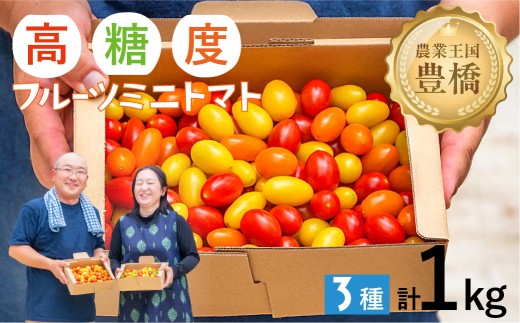 ≪先行予約≫ MAKINO トマト ミックス 3種 高糖度 こだわり トマト とまと tomato 道の駅とよはし 愛知県 豊橋市