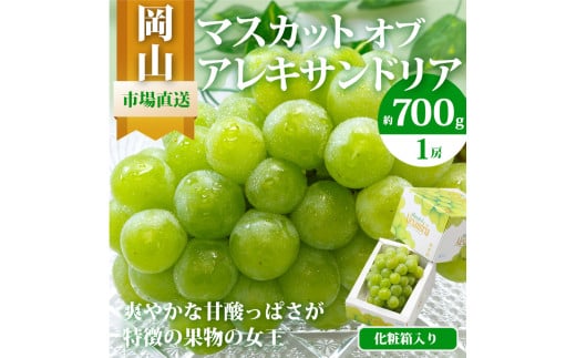 マスカット・オブ・アレキサンドリア 1房 （700g以上・秀品以上） 化粧箱入り 【2025年7月上旬～8月上旬迄発送予定】 マスカット 果物 くだもの フルーツ ぶどう ブドウ 葡萄 岡山 おかやま 国産