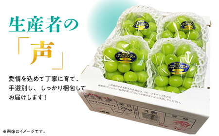 【2025年発送】訳あり!シャインマスカット約2kg!8月中旬～順次発送【人気の岡山産ぶどう】【配送不可地域：離島】【1378275】