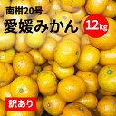 【ふるさと納税】 訳あり 愛媛みかん 南柑20号 12kg 14000円 数量限定 みかん 蜜柑 果物 柑橘 フルーツ ポンカン 文旦 河内晩柑 せとか 紅まどんな デコポン レモン ぶんたん 不揃い 傷 ゼリー ジュース ビタミンC 健康 美容 産地 直送 エニシトラス 愛媛県 愛南町