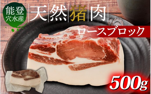 今話題のジビエ！穴水町産 天然 猪肉（ブロック肉） 500g
