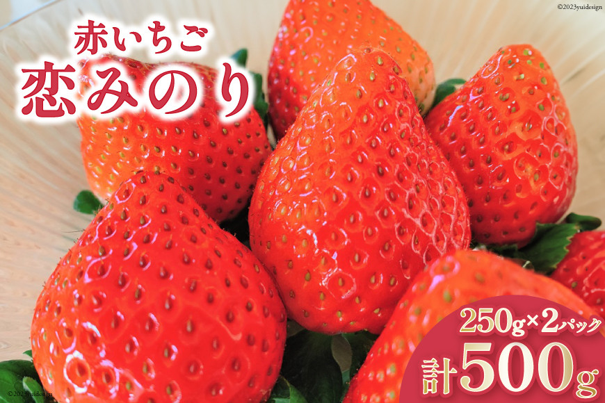 
【12月22〜23日お届け】 いちご 赤いちご 恋みのり 250g×2パック [トトノウ 長崎県 雲仙市 item1414-1] 苺 イチゴ クリスマス フルーツ 果物 くだもの 期間限定 季節限定
