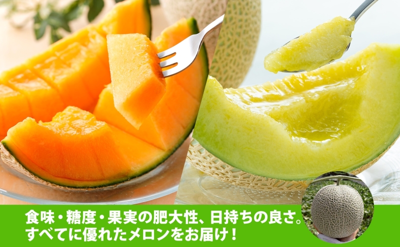 【2026年発送 先行予約】のざわ農園 日高 赤肉メロン 2玉 めろん メロン 赤い 青い 甘い 夏 フルーツ 果実 ルピアレッド 糖度 甘み 濃厚 肥料 贈り物 お中元 お歳暮 常温 冷蔵庫 家族 