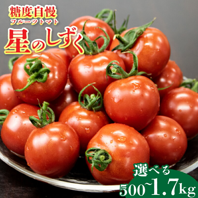 【ふるさと納税】 トマト フルーツトマト 選べる 500g～1.7kg 定期便 3回 野菜 やさい ミニトマト 薄皮 星のしずく 完熟 高糖度 糖度 8度 果物 ジュース サワー パスタ スパゲティ ソース ギフト 贈答 プレゼント お取り寄せ グルメ 送料無料 徳島県 阿波市 原田トマト