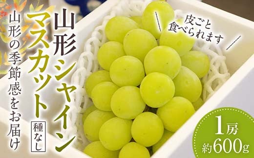 山形シャインマスカット ぶどう 1房 《種なし皮ごと食べられます》【2025年9月から発送】  マスカット ブドウ 葡萄 デザート フルーツ 果物 くだもの 果実 食品 山形県 FSY-1051