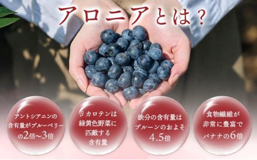 北海道 伊達大滝産 アロニア ベリー 赤い はちみつ 140g×1 国産 ハチミツ 蜂蜜 ハニー 赤はちみつ スーパーフード 北のハイグレード食品 ギフト 花カフェアイバレー 送料無料_イメージ2