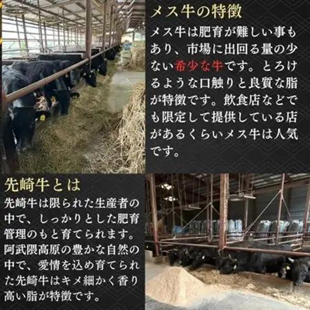 【先崎牛】A4等級以上の希少な厳選メス牛◆ロース焼肉1kg(500g×2パック)【配送不可地域：離島】【1630417】