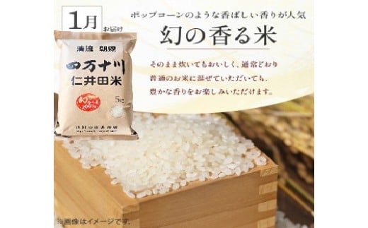 当店一番人気のお米です。なつかしい味・風味・ほのかな甘み、香り米ですが100％でも美味しく食べられます