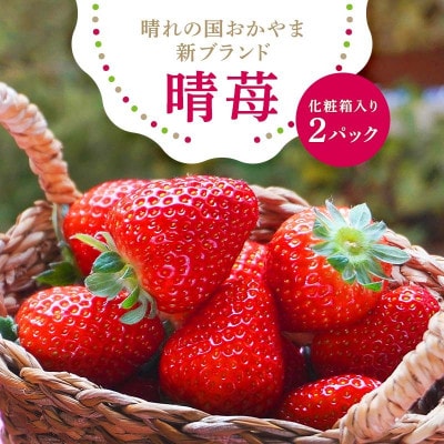 先行受付2026年1月以降発送　晴れの国おかやま新ブランド「晴苺」化粧箱入り2パック【配送不可地域：離島・北海道・沖縄県】【1444423】