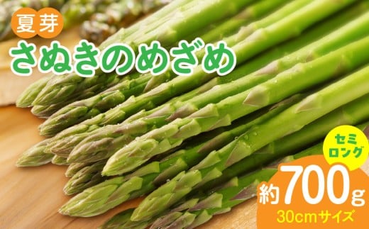 香川オリジナルアスパラガス「さぬきのめざめ」（セミロング）夏芽　700ｇ | 野菜 アスパラ アスパラガス さぬきのめざめ 料理 柔らかい 夏 冷蔵 新鮮 香川県 三木町 セミロング おすすめ |_mk006-028