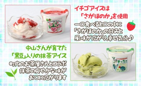 AE033_農家が考えたなめらかアイス８個（いちご＆黒豆抹茶）
