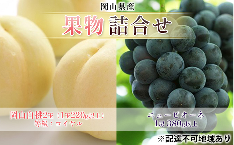 
                  [№5615-0709]ぶどう 2026年 先行予約 果物 詰合せ 岡山 白桃 2玉 等級：ロイヤル（1玉220g以上） ニュー ピオーネ 1房 380g以上 もも 葡萄 岡山県産 国産 フルーツ 果物 ギフト
                