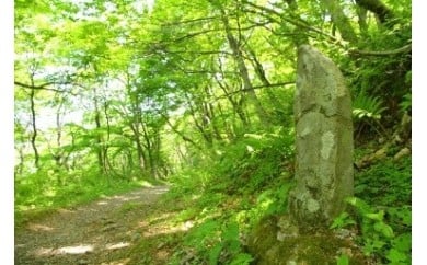 
                  TO-01　ブナの森ウォーク（ペア引換券）
                