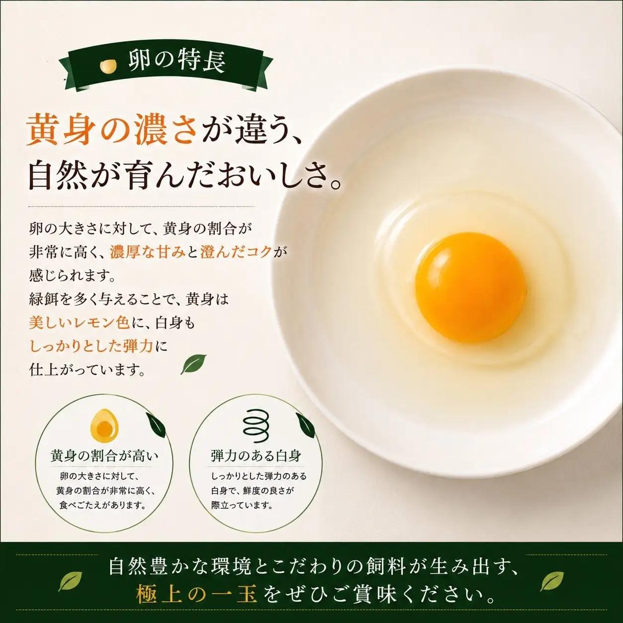 標茶の恵み「平飼い 純国産 岡崎おうはん　こだわりの卵１箱 10個入り1セット」