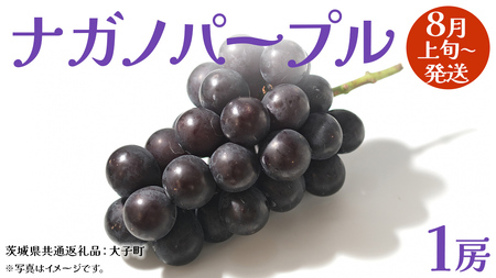ナガノパープル 1房 【2026年8月上旬発送開始】(茨城県共通返礼品：大子町)