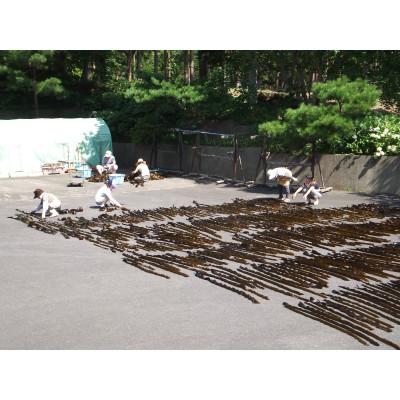 ふるさと納税 田野畑村 三陸田野畑村北山崎の天然黒昆布セット(天然黒昆布2袋・早煮昆布2袋　合計4袋) |  | 03