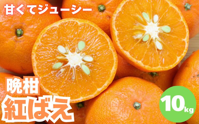 
                  【先行予約】晩柑 紅ばえ　10kg【1月上旬以降順次発送予定】 / 和歌山県 田辺市 みかん 晩生 柑橘【mrn012-1】
                