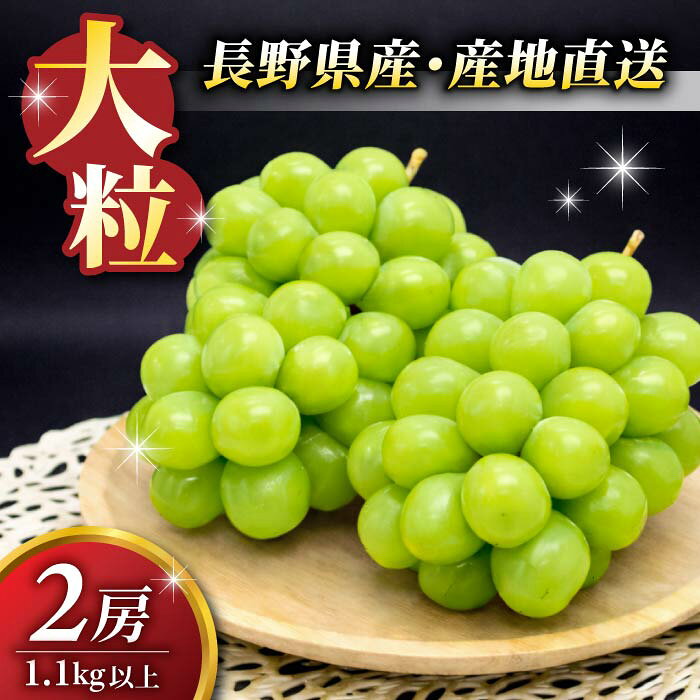 （先行予約2024年発送）東御市産 シャインマスカット 2房（9月下旬より順次発送） ぶどう 葡萄 マスカット 家庭用 お取り寄せ ギフト フルーツ 果物 甘い 美味しい 国産 信州 長野県東御市 【秋お届け】