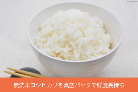 無洗米 真空パック 300g / お米食堂 / 富山県 舟橋村 [57050039] お米 米 こめ コメ 白米 精米 ごはん 備蓄 長期保存