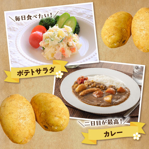 【 2026年 先行予約 受付中 】 新 じゃがいも ゴールド 10kg ＜ 3月お届け ＞ C056-006-02 ジャガイモ 新じゃが 新ジャガ 野菜 やさい 根菜 期間限定 先行受付 先行 予約