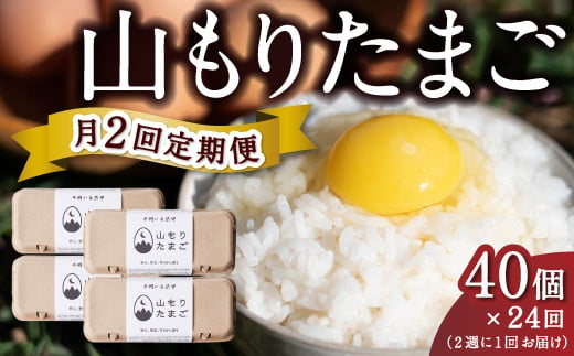 【月2回定期便】山もりたまご 40個 月2回 (2週に1回) 12ヶ月お届け