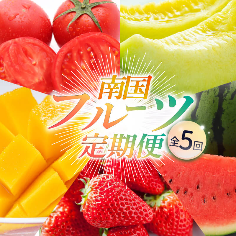 【ふるさと納税】 【年5回お届け】季節のフルーツセット | フルーツ 定期便 お楽しみ いちご フルーツトマト スイカ マンゴー メロン フルーツ 苺 旬 果物 くだもの 贈答 ギフト 人気 おすすめ 高知県 南国市