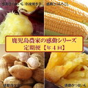 【ふるさと納税】定期便 年4回 農家の感動シリーズA ( 冷凍焼き芋 ゴールドラッシュ 塩茹で落花生 紅はるか )