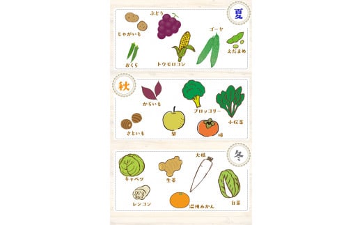 6ヶ月定期便 旬の新鮮野菜・果物詰合せセット(計6回お届け) 8-12品目  道の駅竜北《お申込み月の翌月から出荷開始》---sh_cmitiysiatei_21_98000_mo6num1---